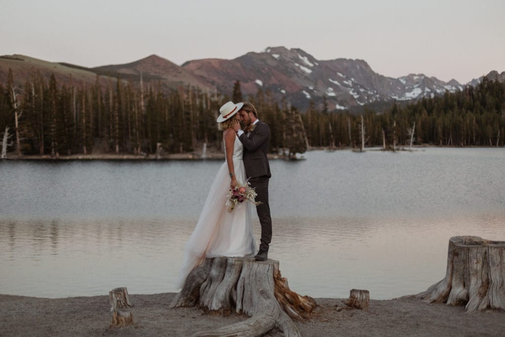 A Bride kisses the groom's forehead standing on a stump next to Horseshoe Lake.