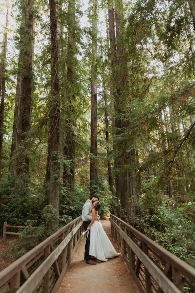 A husband and wife embrace on a bridge in the middle of a redwood forest.